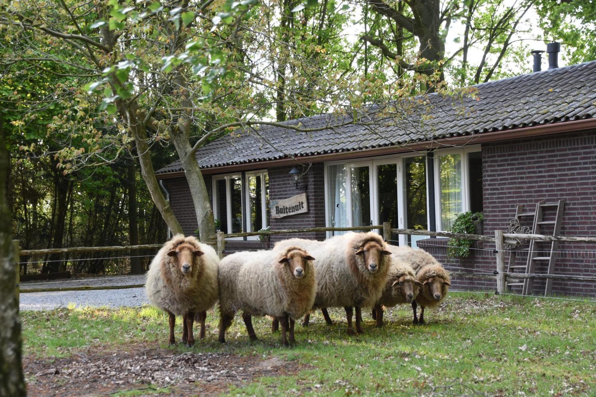Buitenuit Boxtel Exterior photo